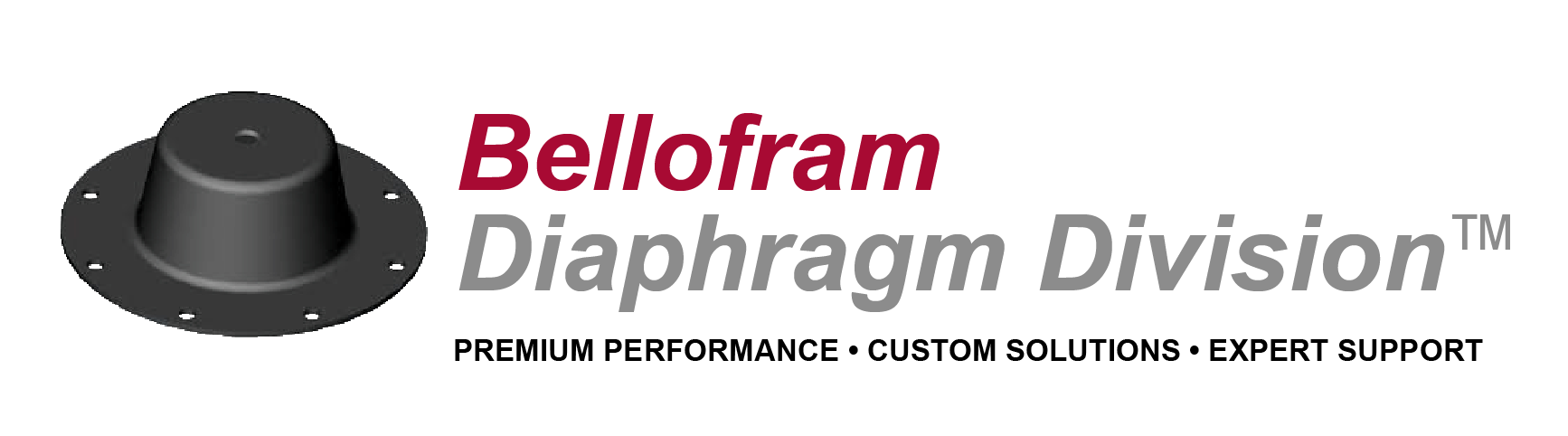 Bellofram Diaphragm Division